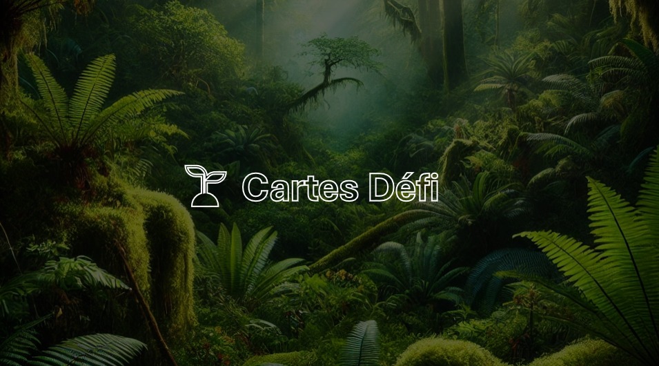 Carte défi recto